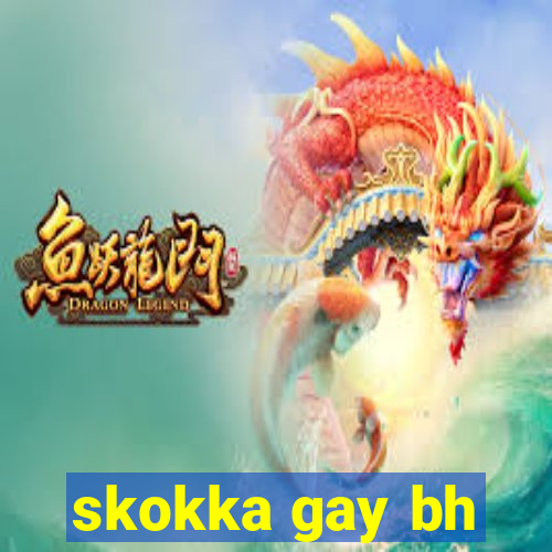 skokka gay bh