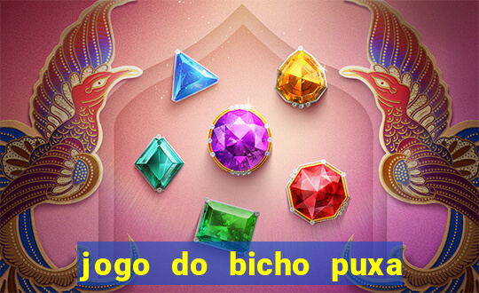 jogo do bicho puxa de dona maria