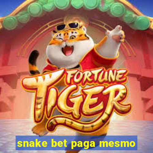 snake bet paga mesmo