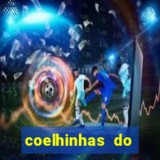 coelhinhas do brasil jp