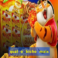 qual o bicho mais velho da loteria dos sonhos